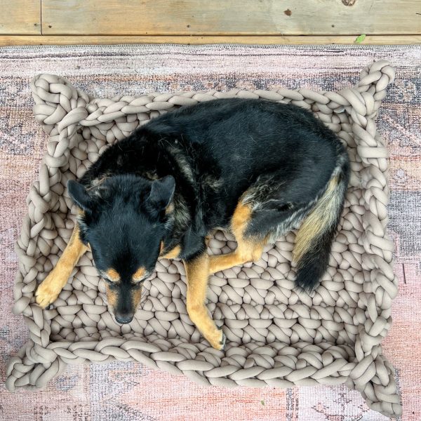 Lucy Pet Bed Kit Hot on Sale - Image 3