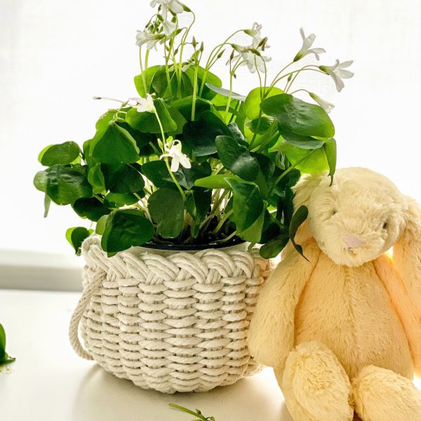 April Basket Pattern & Video For Sale - Image 3