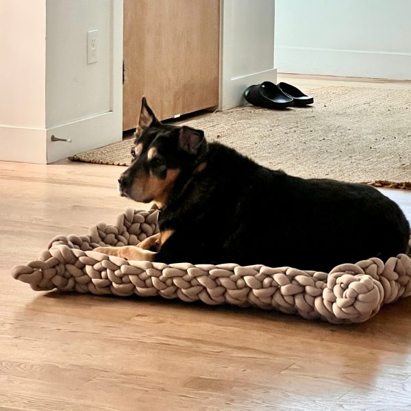 Lucy Pet Bed Kit Hot on Sale